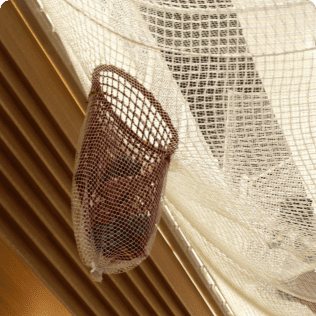 みのむしネットもあるよ！